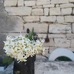 Petit 19th Century Casa, Casa Maggiolina, Istria * Jursici