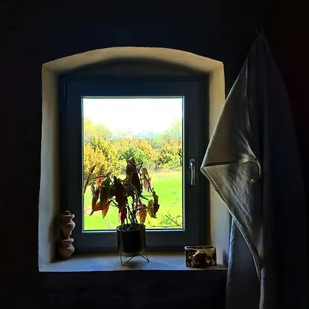 Petit 19th Century Casa, Casa Maggiolina, Istria 度假居 *